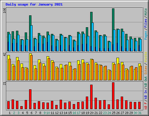 Daily usage for January 2021