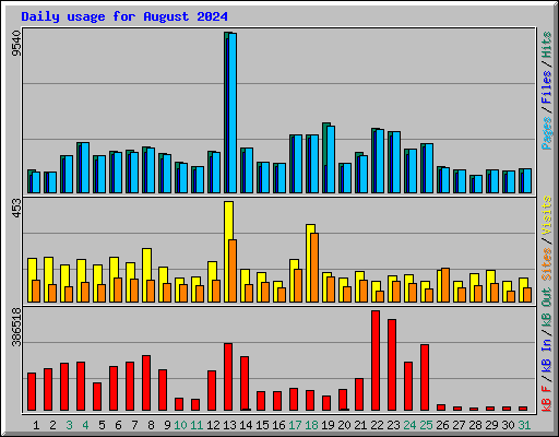 Daily usage for August 2024