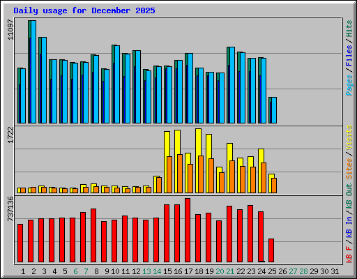 Daily usage for December 2025