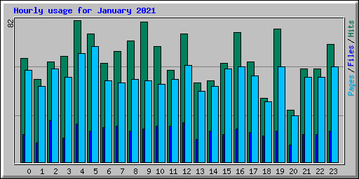 Hourly usage for January 2021