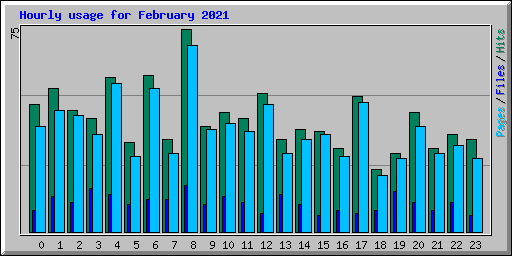 Hourly usage for February 2021