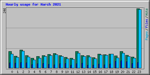 Hourly usage for March 2021