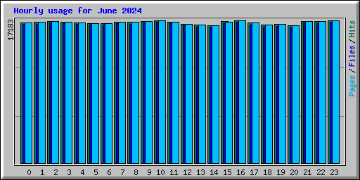 Hourly usage for June 2024