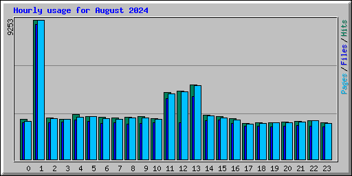 Hourly usage for August 2024