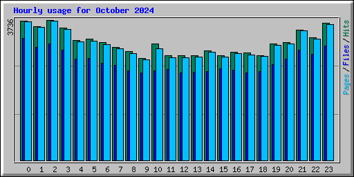 Hourly usage for October 2024