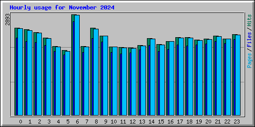 Hourly usage for November 2024