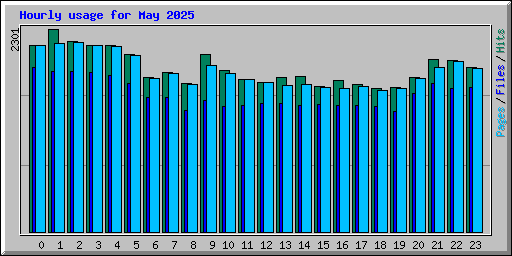 Hourly usage for May 2025