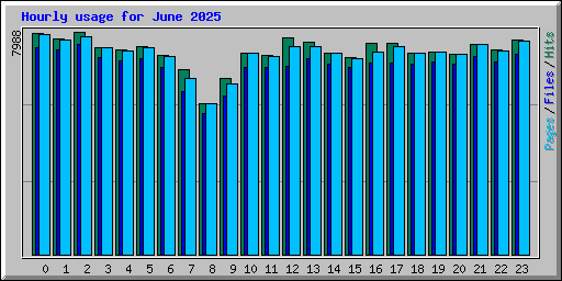 Hourly usage for June 2025