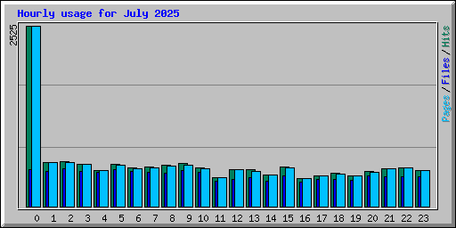 Hourly usage for July 2025
