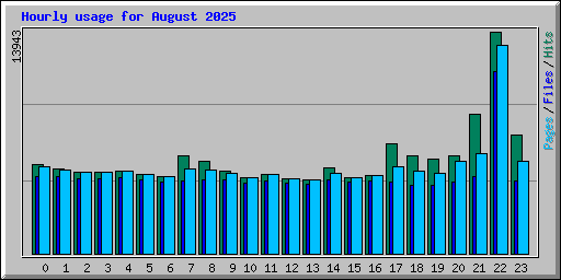 Hourly usage for August 2025