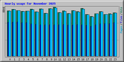 Hourly usage for November 2025