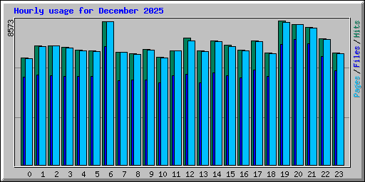 Hourly usage for December 2025