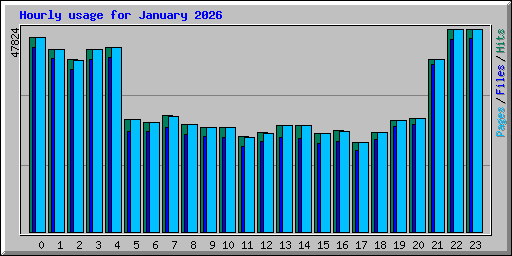 Hourly usage for January 2026
