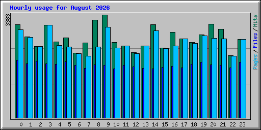 Hourly usage for August 2026
